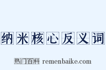 纳米核心反义词是什么意思的图片